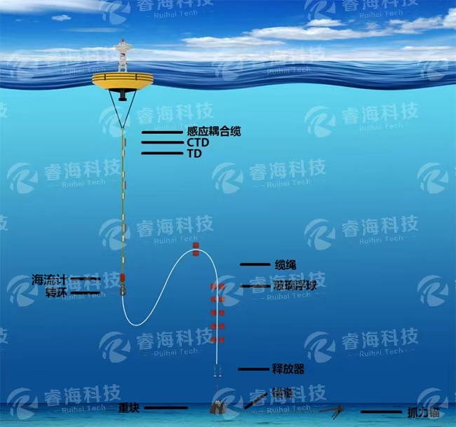 微信圖片_20250225165822