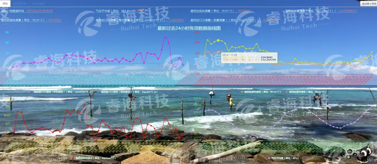 微信圖片_20250225171356 微信圖片_20250225171356